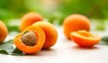 Amazing Health Benefits of Apricots