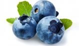 Amazing Health Benefits of Blueberry