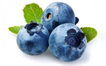 Amazing Health Benefits of Blueberry