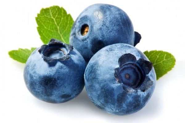Amazing Health Benefits of Blueberry