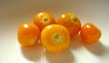 Amazing Health Benefits of Cape Gooseberry