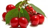 Amazing Health Benefits of Cherries