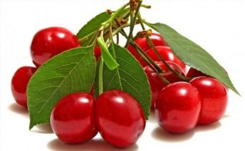 Amazing Health Benefits of Cherries