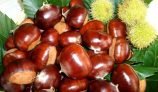 Amazing Health Benefits of Chestnut