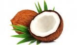 Amazing Health Benefits of Coconut
