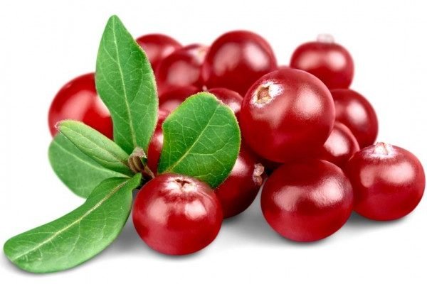 Amazing Health Benefits of Cranberry