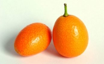 Amazing Health Benefits of Cumquat
