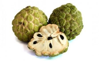 Amazing Health Benefits of Custard Apple
