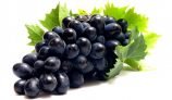 Amazing Health Benefits of Grapes