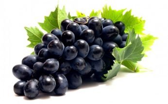 Amazing Health Benefits of Grapes