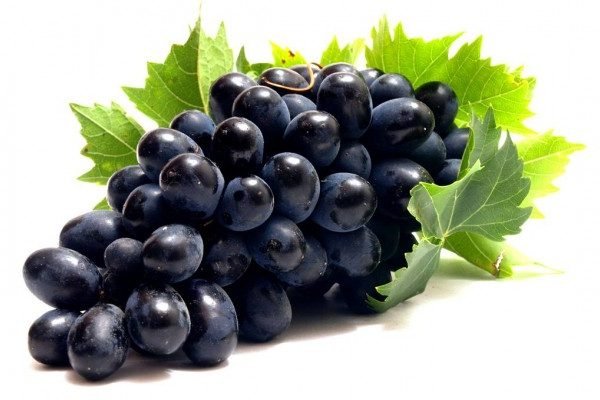 Amazing Health Benefits of Grapes