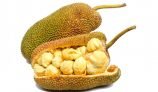 Amazing Health Benefits of Jackfruit