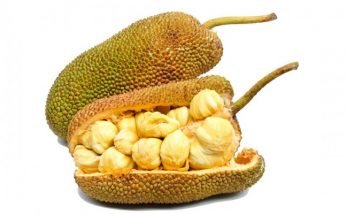 Amazing Health Benefits of Jackfruit
