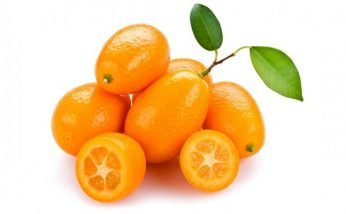Amazing Health Benefits of Kumquat