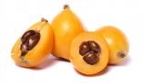Amazing Health Benefits of Loquat