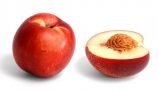 Amazing Health Benefits of Nectarine