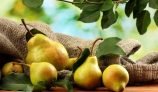 Amazing Health Benefits of Pear
