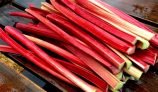Amazing Health Benefits of Rhubarb