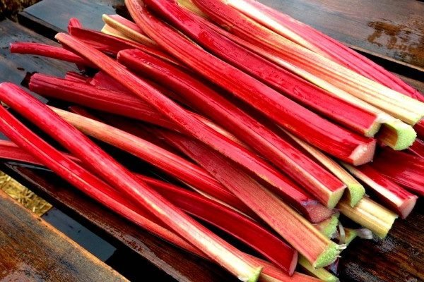 Amazing Health Benefits of Rhubarb