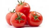 Amazing Health Benefits of Tomato