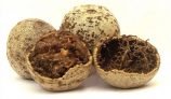 Amazing Health Benefits of Wood Apple