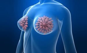 Can the colour of nipples change if i take the pill?