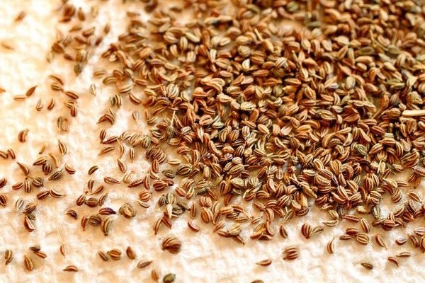Health Benefits of Ajwain