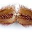 Health Benefits of Annatto