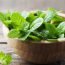 Health Benefits of Apple Mint