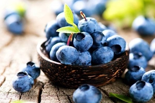 Health benefits of Bilberry