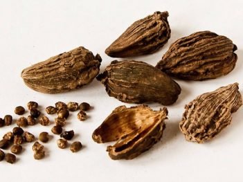 Health benefits of black cardamom