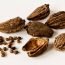 Health benefits of black cardamom