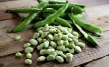 Health Benefits of Broad Beans