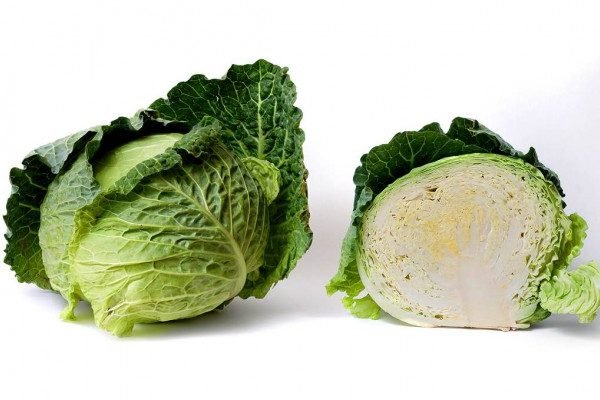 Health Benefits of Cabbage