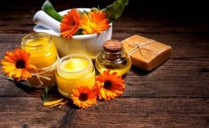 Health Benefits of Calendula