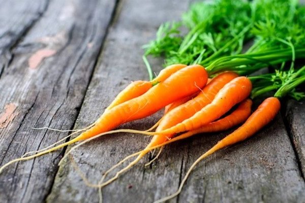 Health Benefits of Carrot