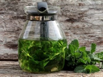 Health Benefits of Catnip