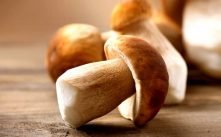 Health Benefits of Cep Mushroom