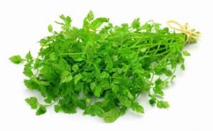 Health Benefits of Chervil