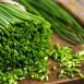 Health Benefits of Chive