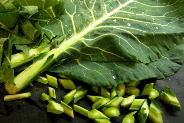 Health Benefits of Collard