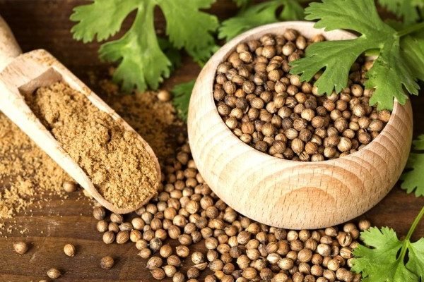 Health Benefits of Coriander Seeds