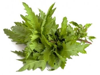Health Benefits of Epazote