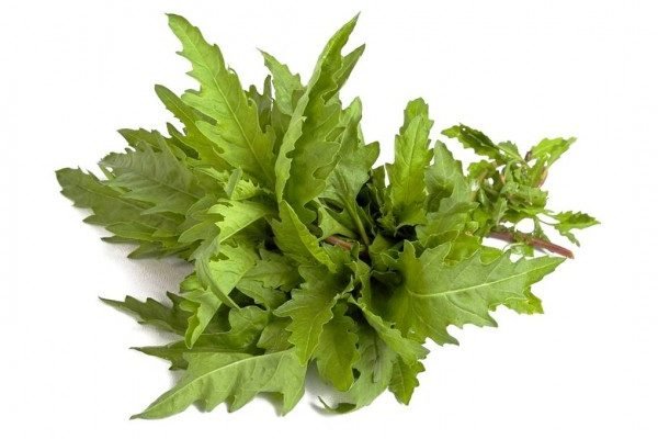 Health Benefits of Epazote