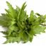 Health Benefits of Epazote