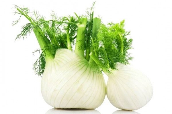 Health Benefits of Fennel