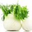 Health Benefits of Fennel