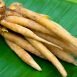 Health Benefits of Finger root