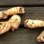 Health Benefits of Galangal