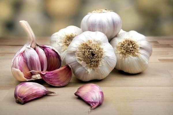Health Benefits of Garlic Health Benefits of Garlic